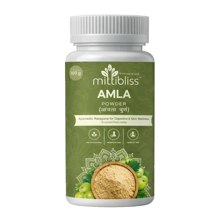 amla-powder-100g-natural-vitamin-c-for-hair-skin-immunity-indian-gooseberry